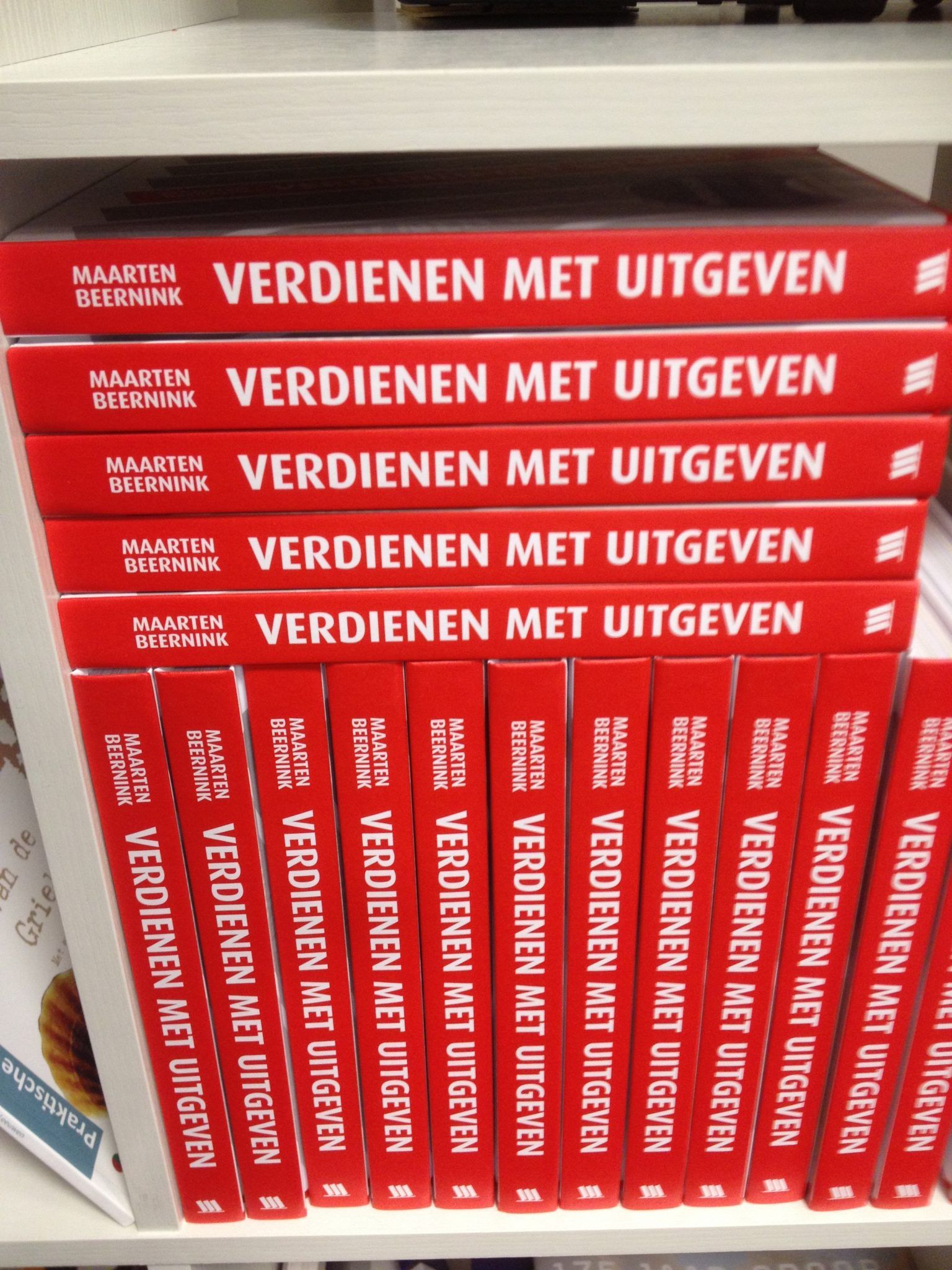 verdienen met uitgeven boek maarten beernink