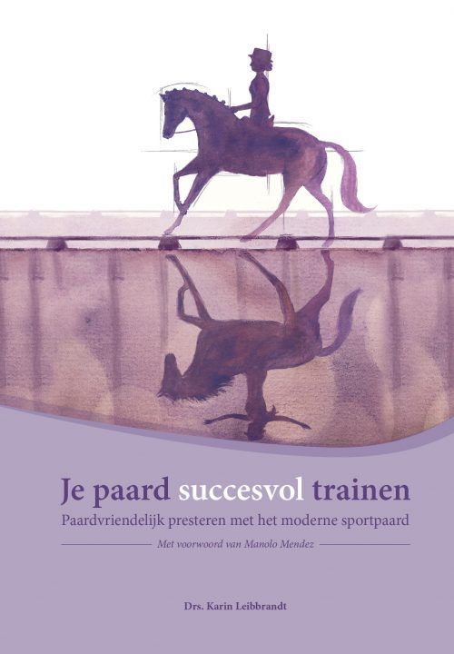 Je paard succesvol trainen