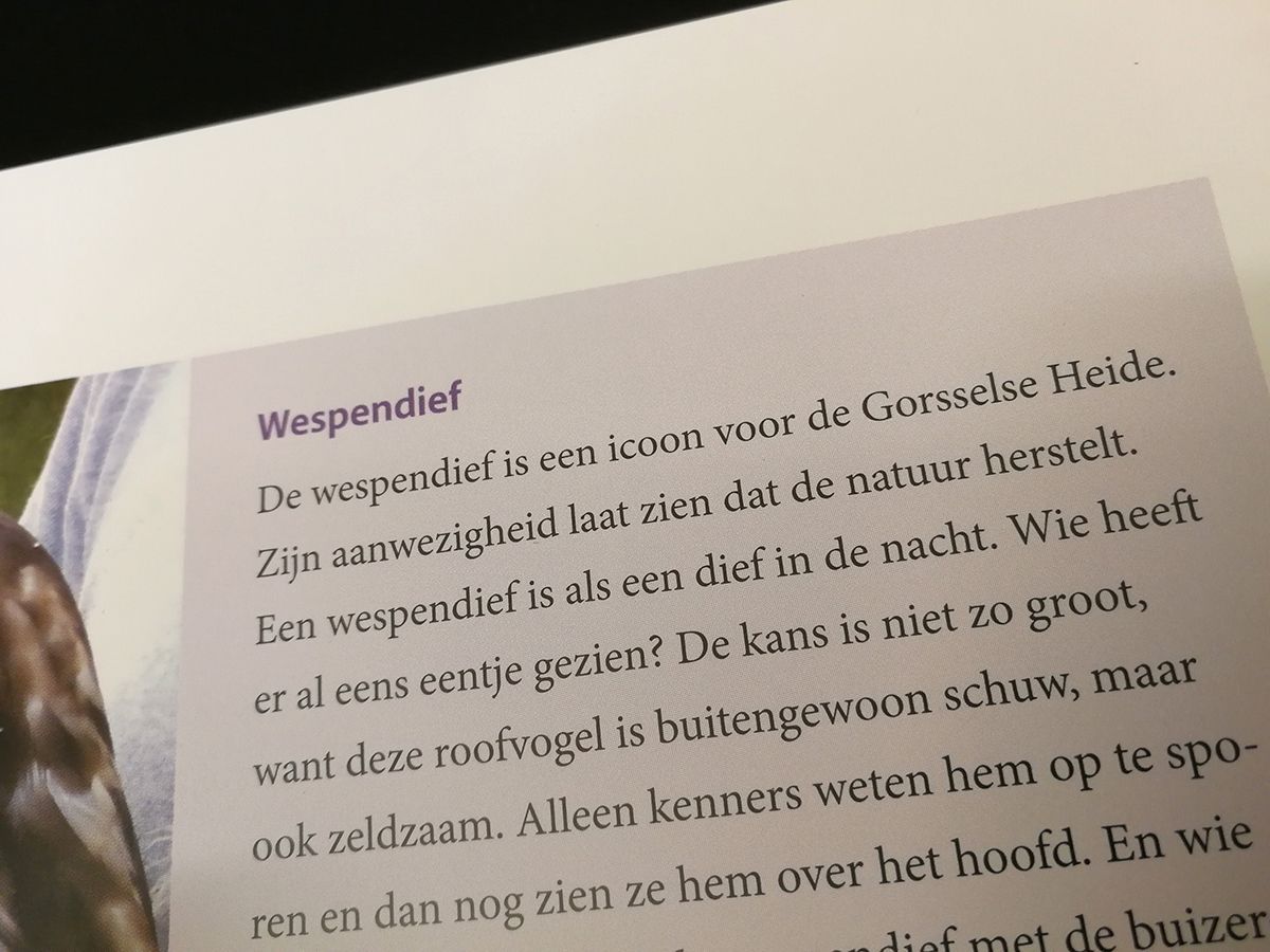 Kaders in boeken
