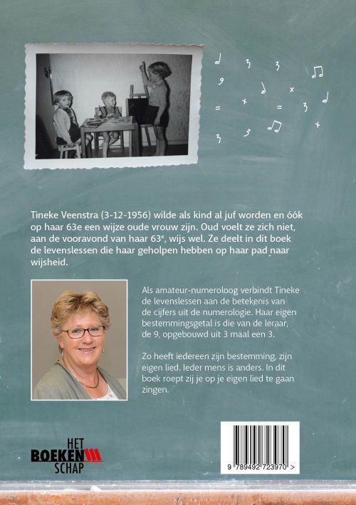 Cover-achter-driemaaldrieisnegen-Tineke-Veenstra